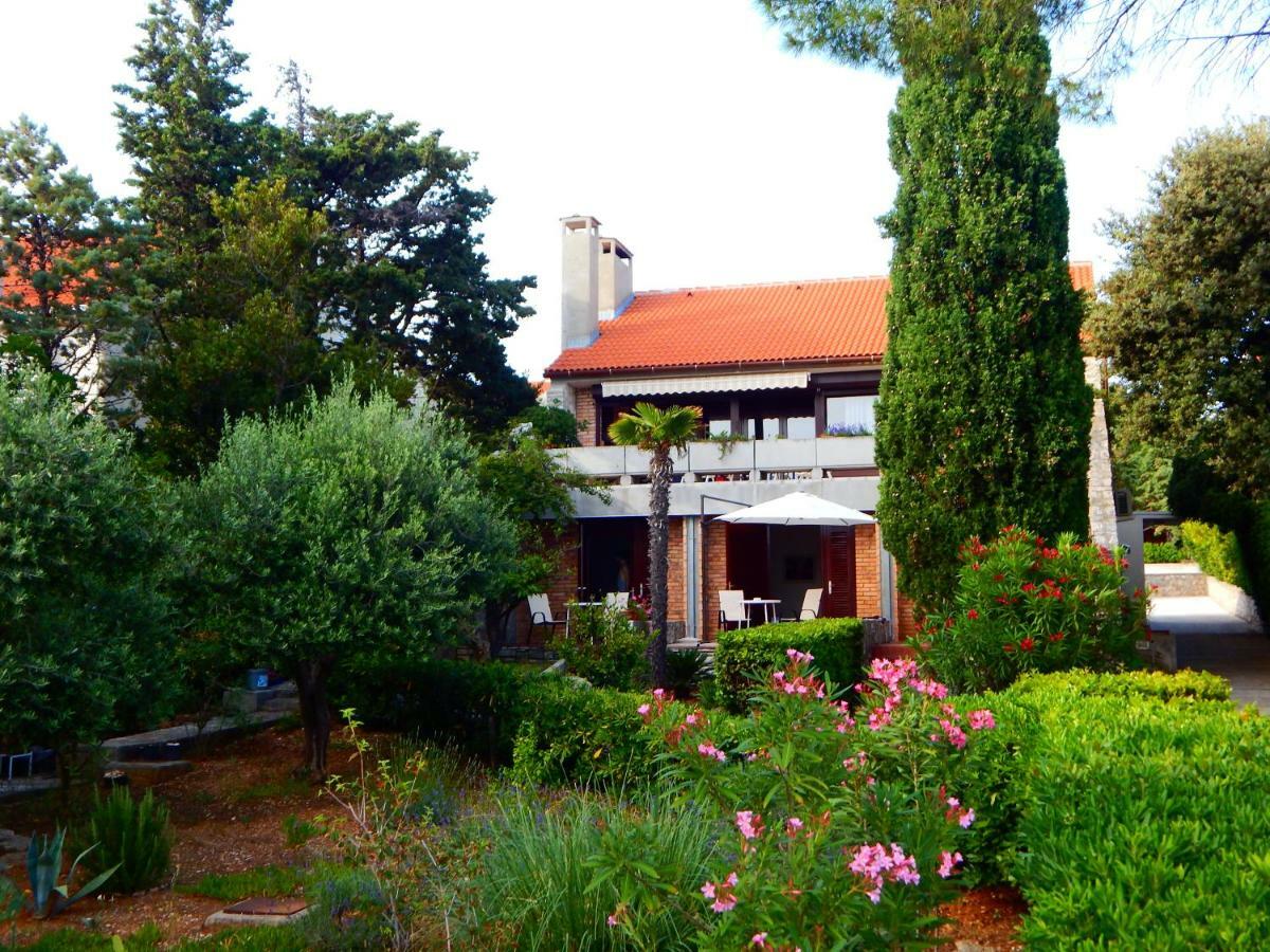 Jutro Apartament *